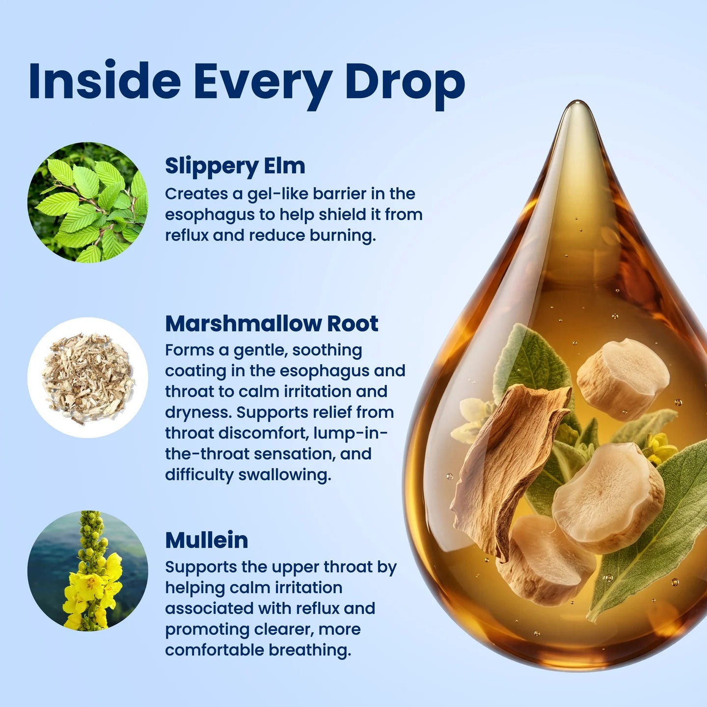 Kind Drops- Hiatal Reflux Drops Relief